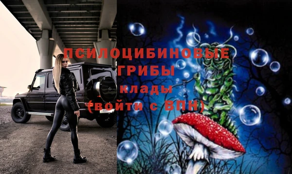 2c-b Белоозёрский