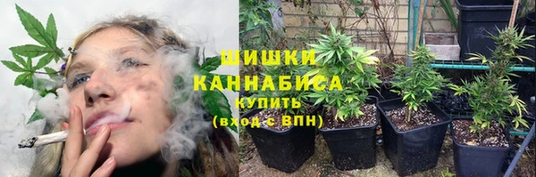 стаф Белокуриха