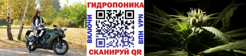 Конопля Bruce Banner  Туймазы 
